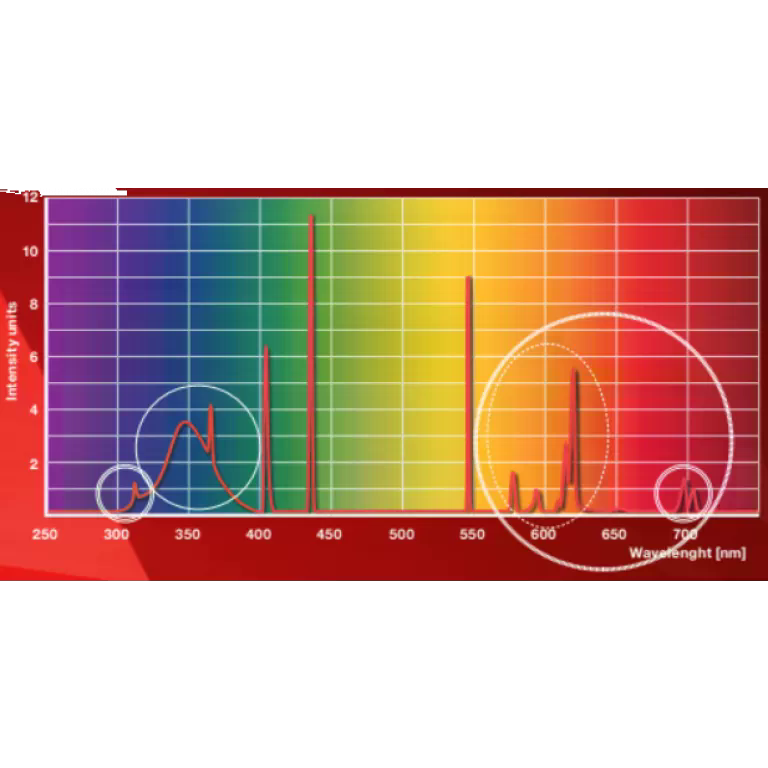 BBWC Rubino Kiinnamut solarium Collagen-booster-ilik